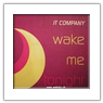 JT Company-Wake me tonight